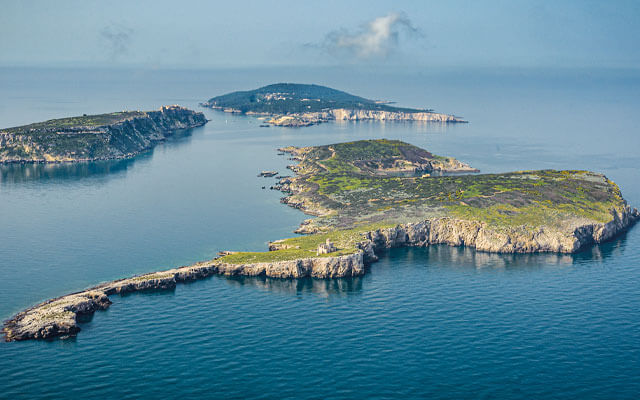 Diving amidst Tremiti Islands & Vieste