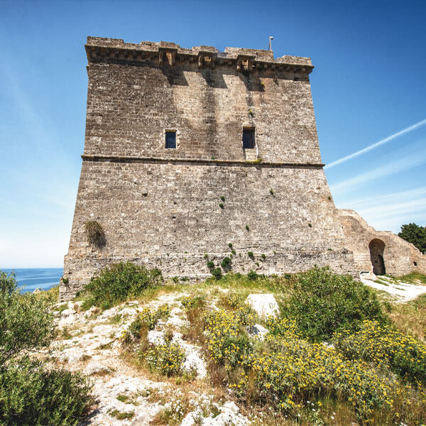 torre dell alto