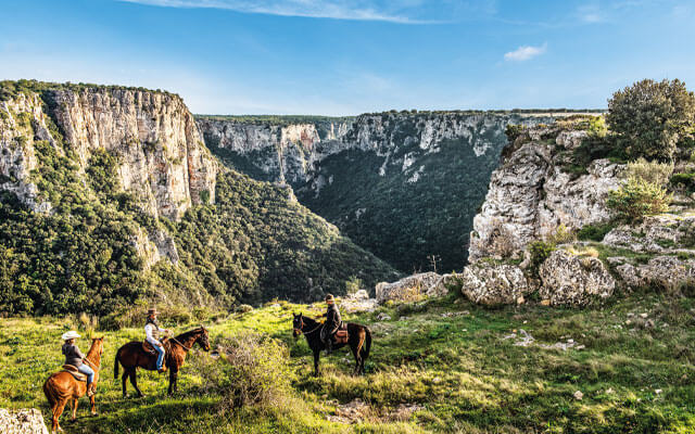 gravina di laterza